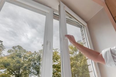Windows Replacement detail