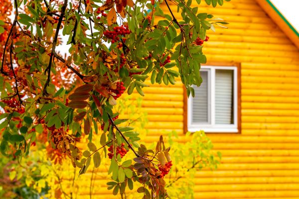Garden Window Replacement in Gilmer